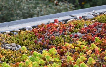 the cost of Coulston green roof installation