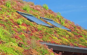 Coulston living roof systems