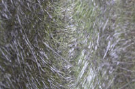 Coulston fibreglass roof work